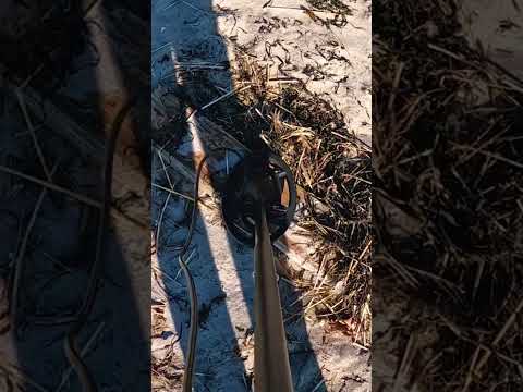 I metal detected an entire beach to find gold