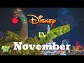Visiting DisneyWorld in November