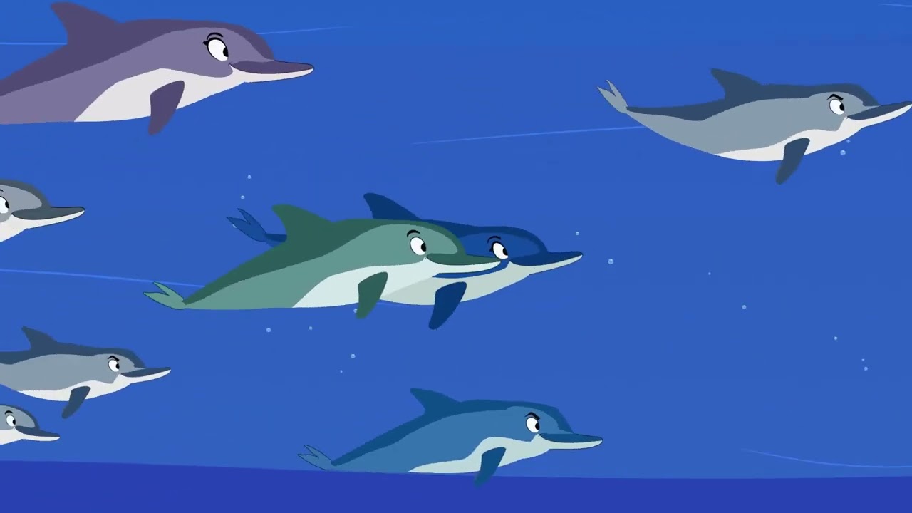 Semana do Meio Ambiente 2020 - Projeto Golfinho Rotador