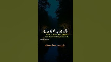 #المصحف اللهم اجعل القرآن الكريم ربيع قلوبنا ونور صدورنا ⭐