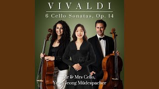 Details Cello Sonata in B-Flat Major, RV 47: I. Largo News