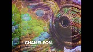 Boris Brejcha - The Final