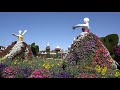 Dubai Miracle Garden 2021|  4K| Dubai Tourist Attractions  (Ems Rowlands Vlog #52)