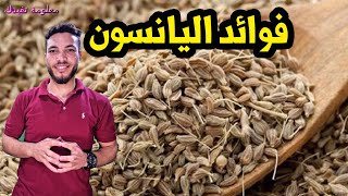 ماهى فوائد اليانسون 9 فوائد علاجية فى مشروب اليانسون الرائع ؟؟