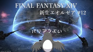 救出作戦、開始！【FINAL FANTASY XIV】 #12