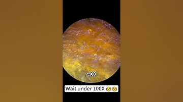 Beef stick magnified 400 times is so cool! #underthemicroscope #microscope #science#shorts