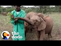 Guys Stick By Baby Elephants 24/7 For Years | The Dodo Heroes