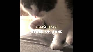 ลองรักดูไหม - NOAH FT. TNDTLE (speed up )