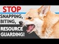 How to STOP “Food Aggression”/ Resource Guarding in Dogs- WITHOUT FORCE