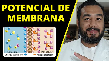 O que é e como é gerado o potencial de ação?