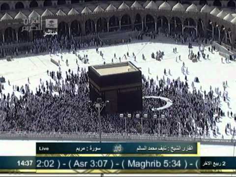 القارئ نايف السالم سورة مريم من قناة القرآن الكريم