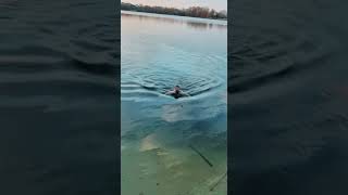 #sports #swimming Как начать зимой плавать, как научиться моржевать , как закаляться?
