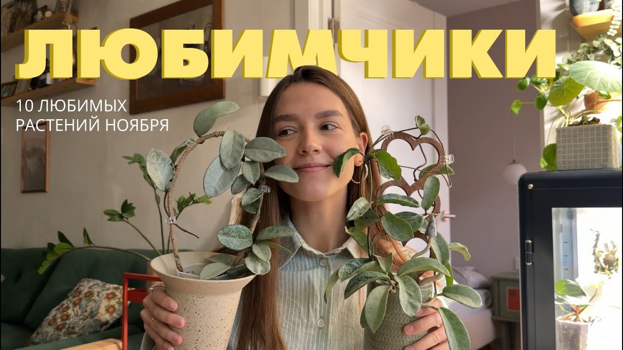 10 ЛЮБИМЫХ растений Ноября