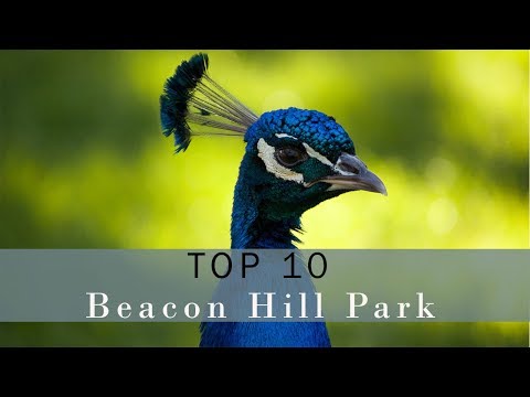 Vídeo: As 9 melhores coisas para fazer em Beacon Hill