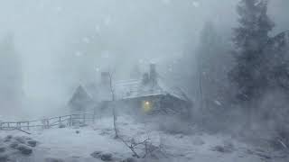 Extremely Strong Wind Sounds for Sleeping┇Heavy Blizzard & Loud Blowing Snow┇Sounds to Sleep & Study