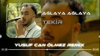 Tekir - Ben Ağlaya Ağlaya ( Ferhat Güneş & Yusuf Can Ölmez ) #tiktokremix