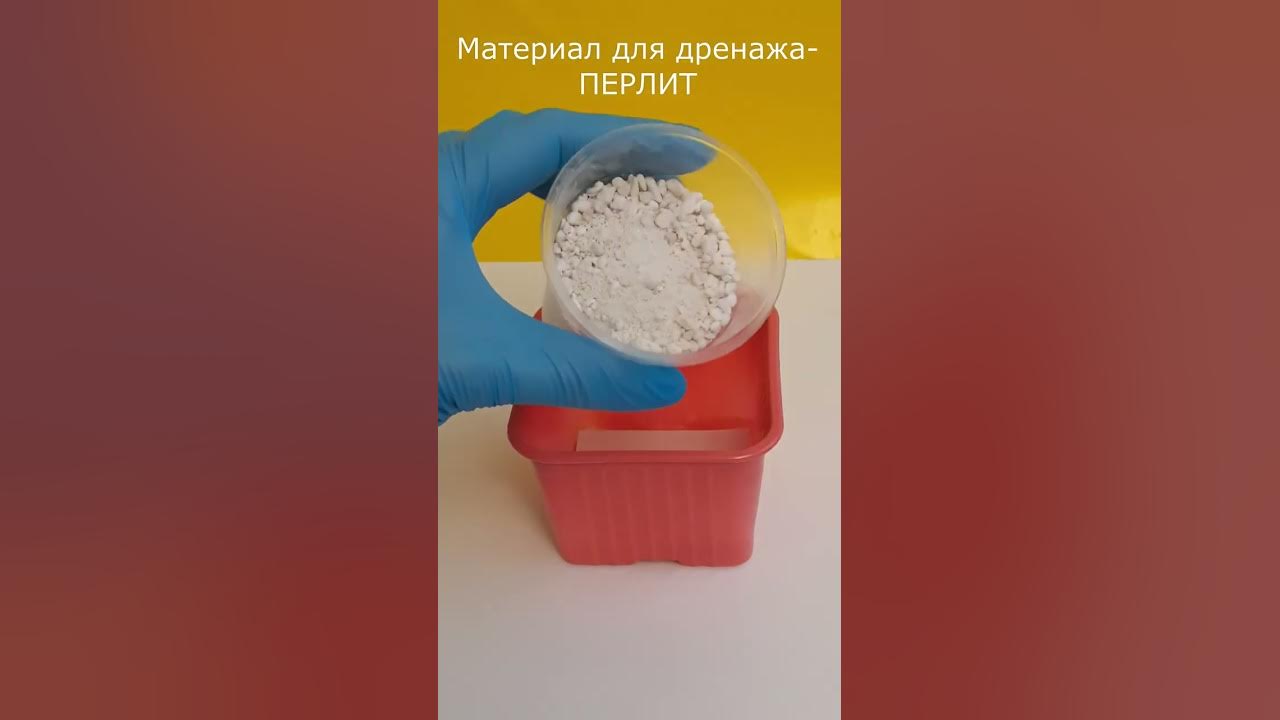 ДРЕНАЖ для ЦВЕТОВ: из чего сделать - YouTube