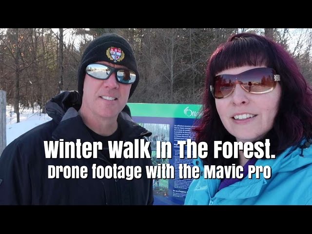 Ep35. Winter walk in the forest. Drone footage with the Mavic Pro.