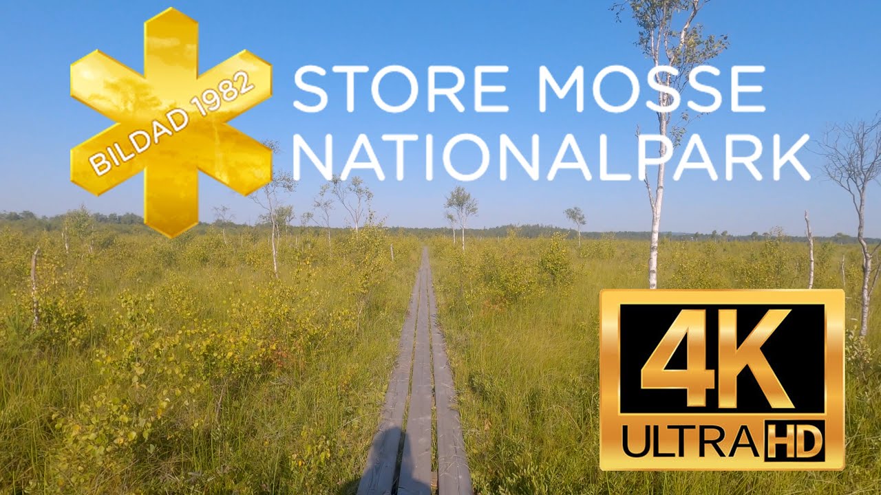 4K Virtual Hike - Store Mosse National Park - Sweden
