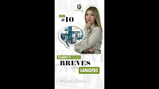 Pecuarios Tv Las Breves Del Sector Ganadero  08 Marzo 2024