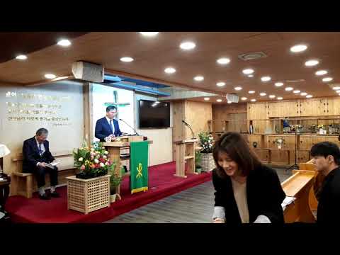 화정빛의숲교회 주일 낮 예배(2025/10/19)