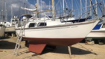 Hurley 22