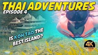 EPISODE 4 - Is Koh Tao the best Island?  4K Thai Adventures by IvysDadd 10,908 views 1 year ago 32 minutes