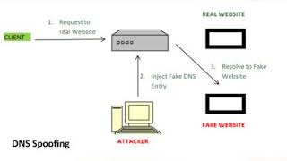 DNS Spoofing