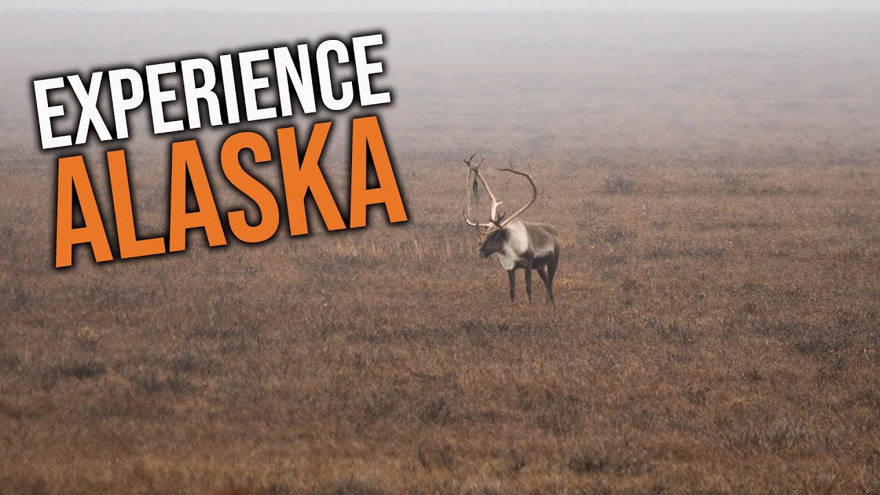 Things You Need To Know BEFORE Applying in Alaska