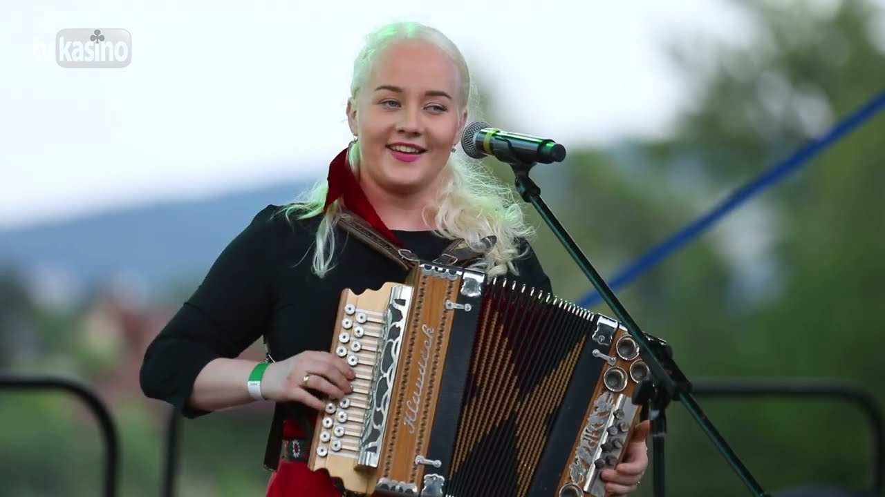 Heligonica: Koníčky moje šedé