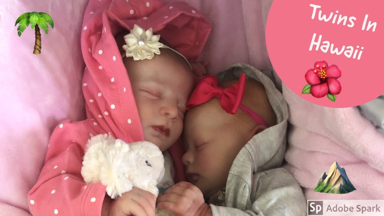 Twin Reborn Babies Hiking Outing In Hawaii ⛰🌴 YouTube