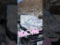 それ壊れます！フロントガラスに雪が積もったままやってはいけないこととは？#shorts