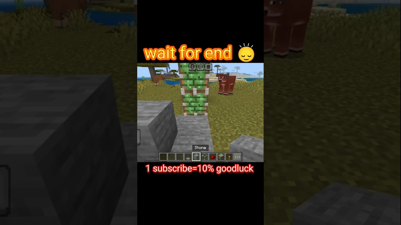 Minecraft viral hack|Minecraft viral video|Minecraft|