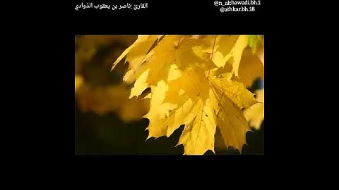 القارئ :ناصر بن يعقوب الذوادي ..حفظه الله ورعاه