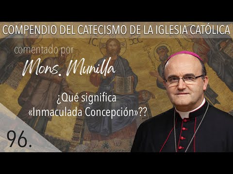 Vídeo: Quina és la definició d'emaculada?