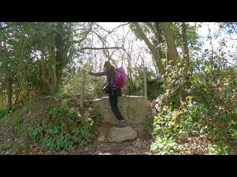 A circular countryside walk from Loddiswell, Devon to the forested Avon Valley and back.