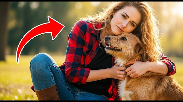 Heartwarming Dog Reunion: Owner Finds Lost Dog After 5 Years!