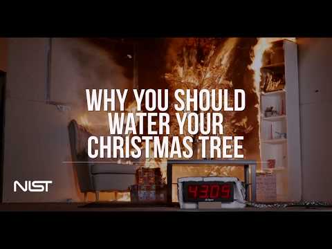 Christmas Tree Fire: Watered Tree vs. Dry Tree