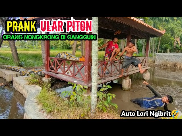 Video Lucu || Prank Ular Piton Raksasa Paling Extreme || Gangguin Orang Nongkrong class=