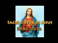 Sacre Coeur De Jesus (Fleur pourir) Unofficial video
