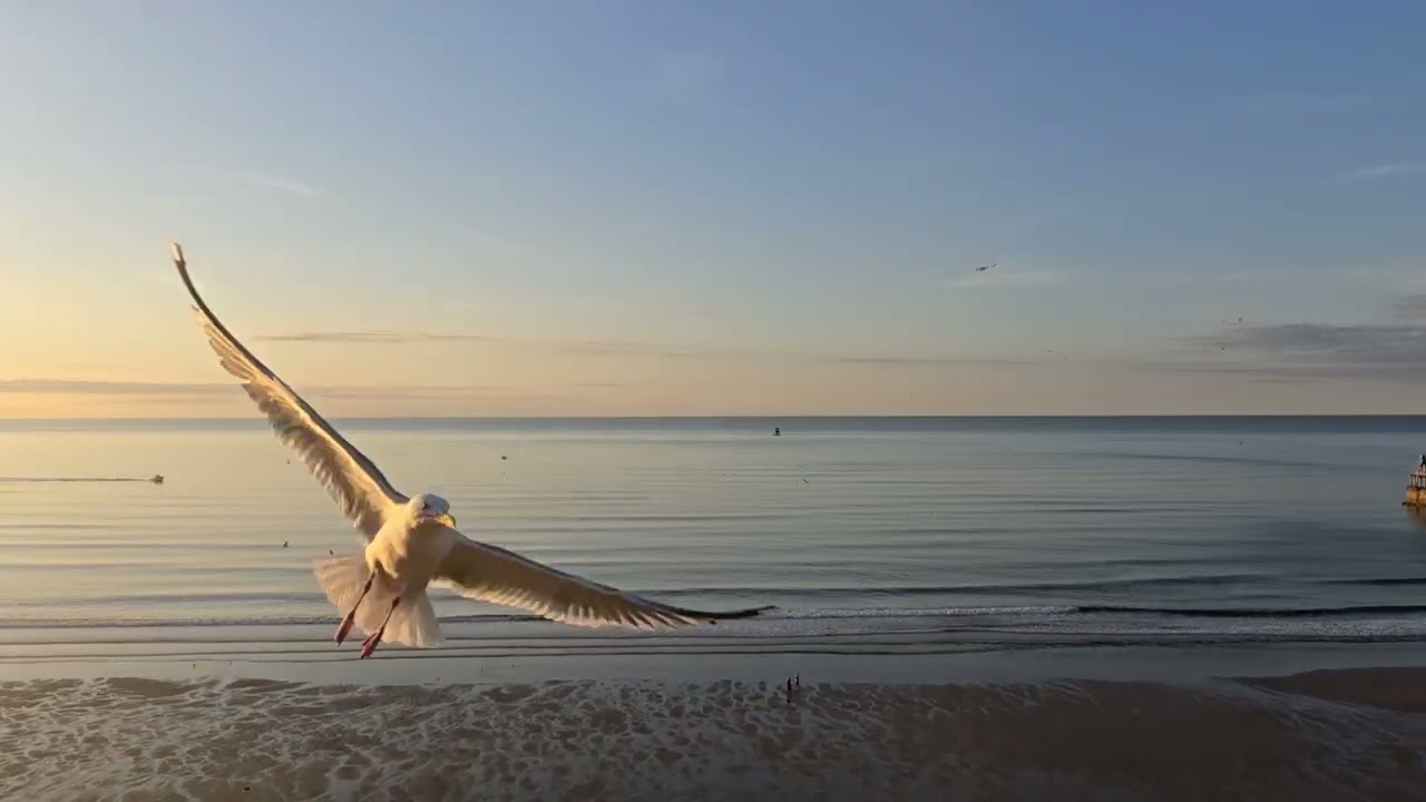Whitby Bay & Robin Hood's Bay July 2025