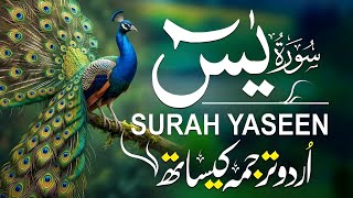 Surah Yaseen Full Recitation with Urdu Translation | Qari Mansoor | Peaceful Quran