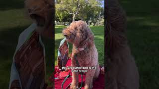 Open Farm food, broth, & treats! by PupScouts Dog Training 6 views 2 months ago 1 minute, 31 seconds
