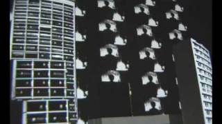 panopticum mirror test