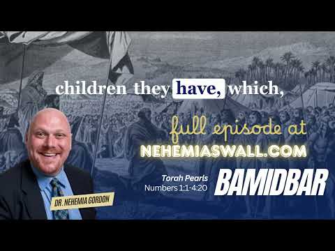 Bamidbar | Torah Pearls Takeaways #34 - NehemiasWall.com