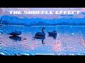 The automated shuffle effect of Datamosher-Pro