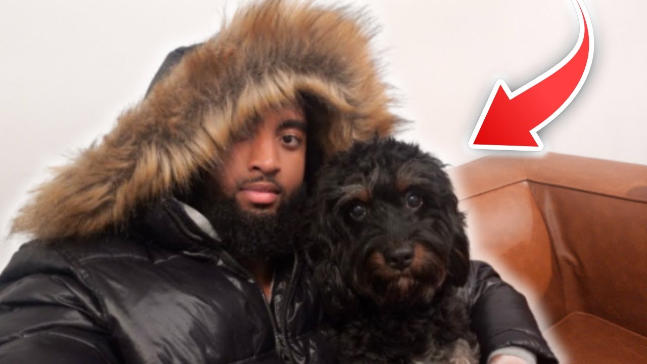 MOREHOUSE DAY TRADER GETS A NEW DOG!