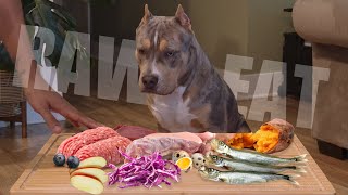 ASMR MUKBANG: American Bully XL Puppy Eating RAW Lunch | Turkey Neck, Chicken & Veggies 🥩🍗🥦BEST RAW