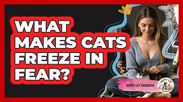 What Makes Cats Freeze In Fear? - Happy Cat Handbook