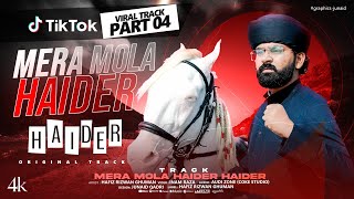 Mera Mola Haider Haider 4 | TikTok Viral | Hafiz Rizwan Ghuman | Full Manqabat 2024 Resimi